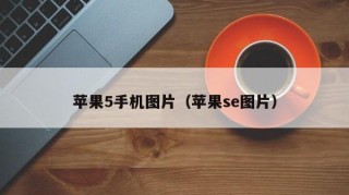 苹果5手机图片（苹果se图片）