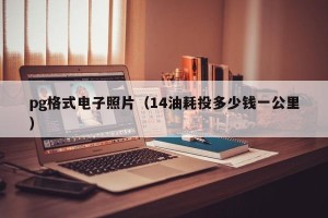 pg格式电子照片（14油耗投多少钱一公里）