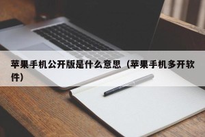 苹果手机公开版是什么意思（苹果手机多开软件）